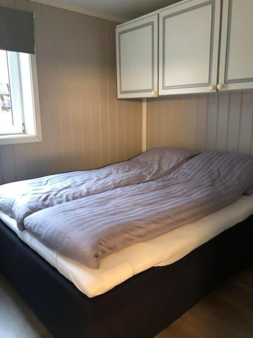 Koselig Leilighet I Tromso Ngoại thất bức ảnh